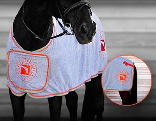 Black horse wearing a grey Childéric cooler rug with orange trim