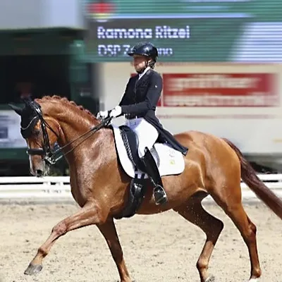 Ramona Ritzel reitet einen Fuchs in der Dressurprüfung